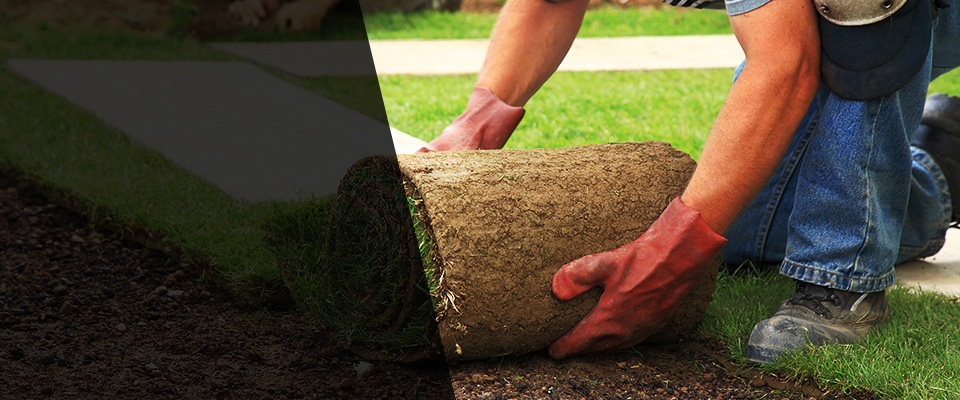 Grayson Landscapers